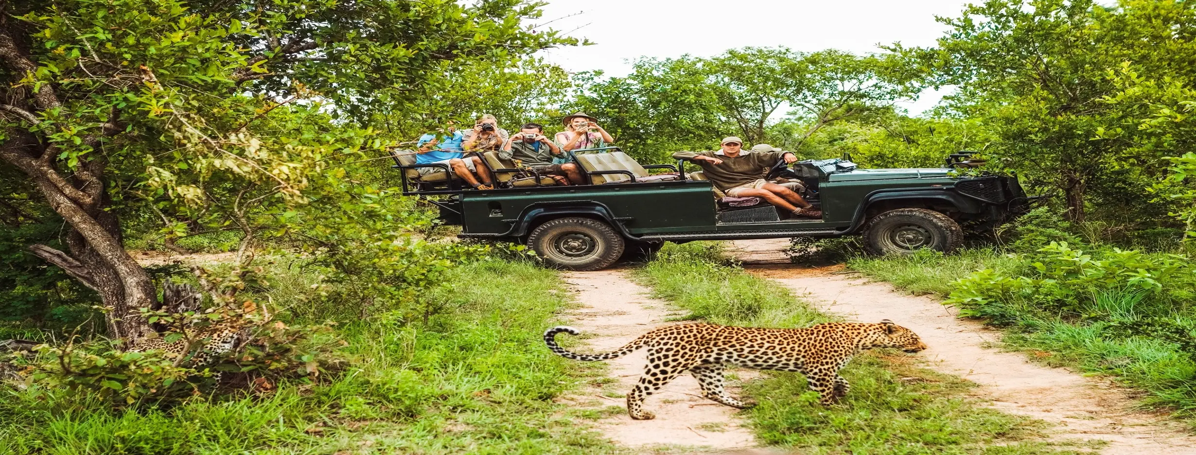 Image for Safari Adventure